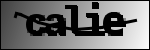 النص للتعريف