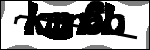 متن برای شناسایی